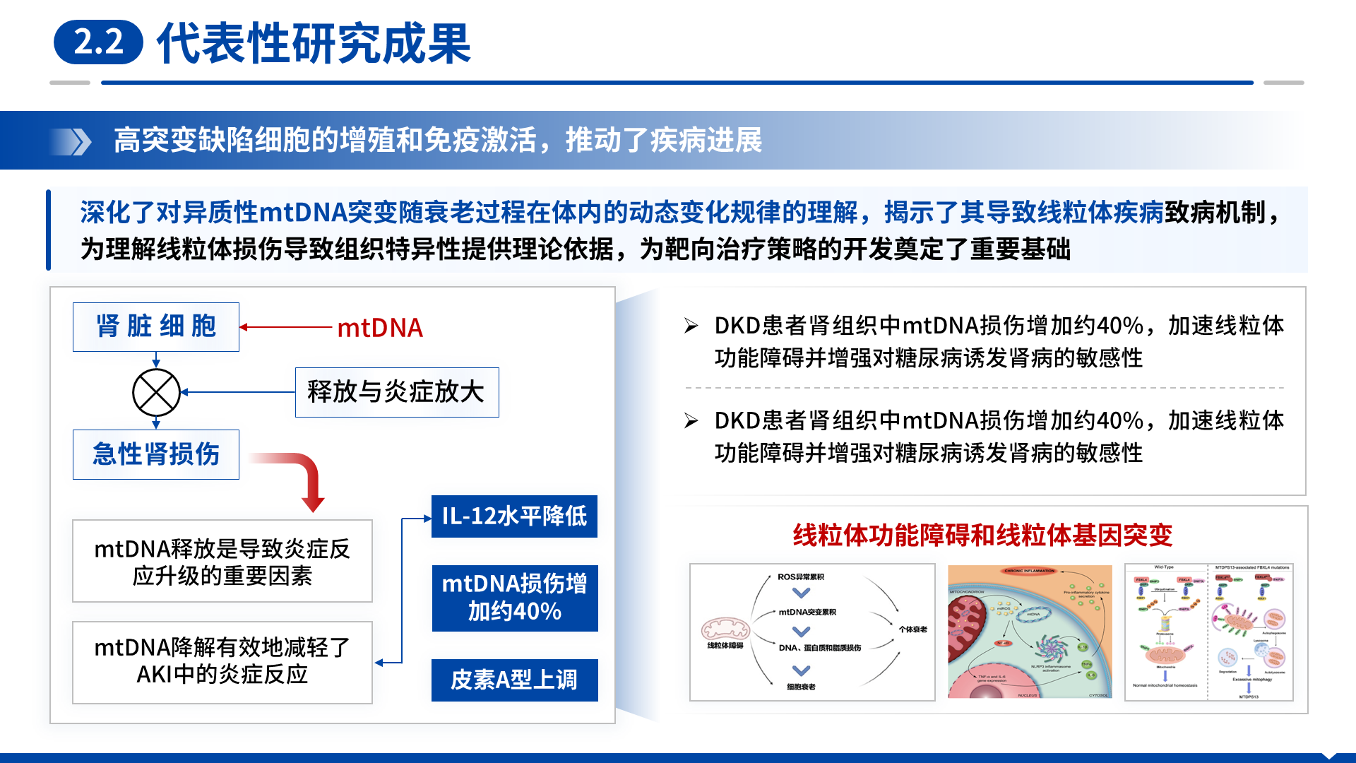 海外优青 案例