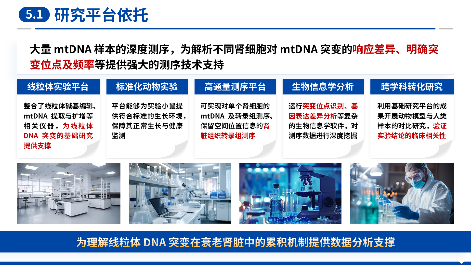 海外优青 案例