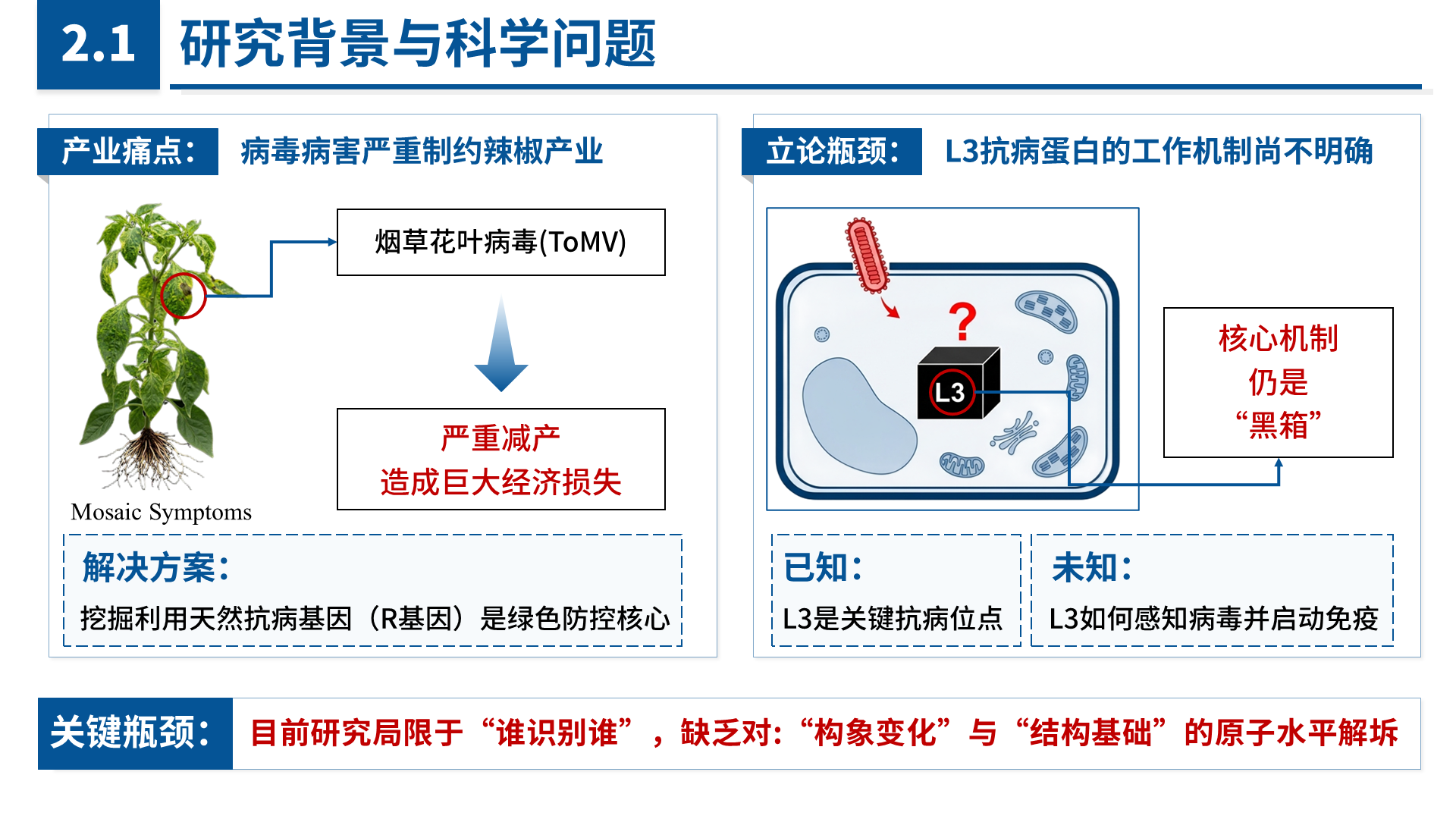 国家青年科学基金 B 类 案例