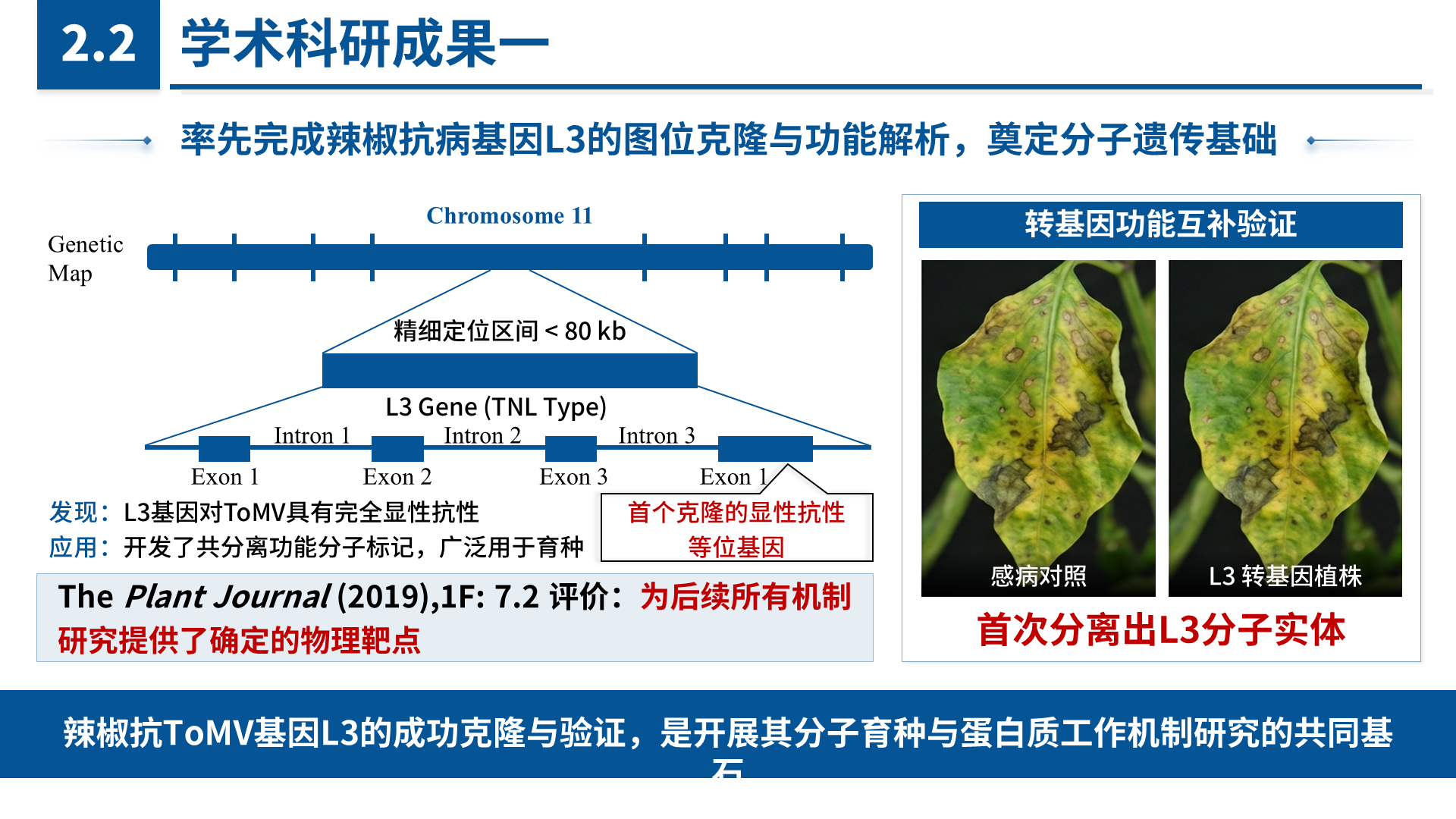 国家青年科学基金 B 类 案例