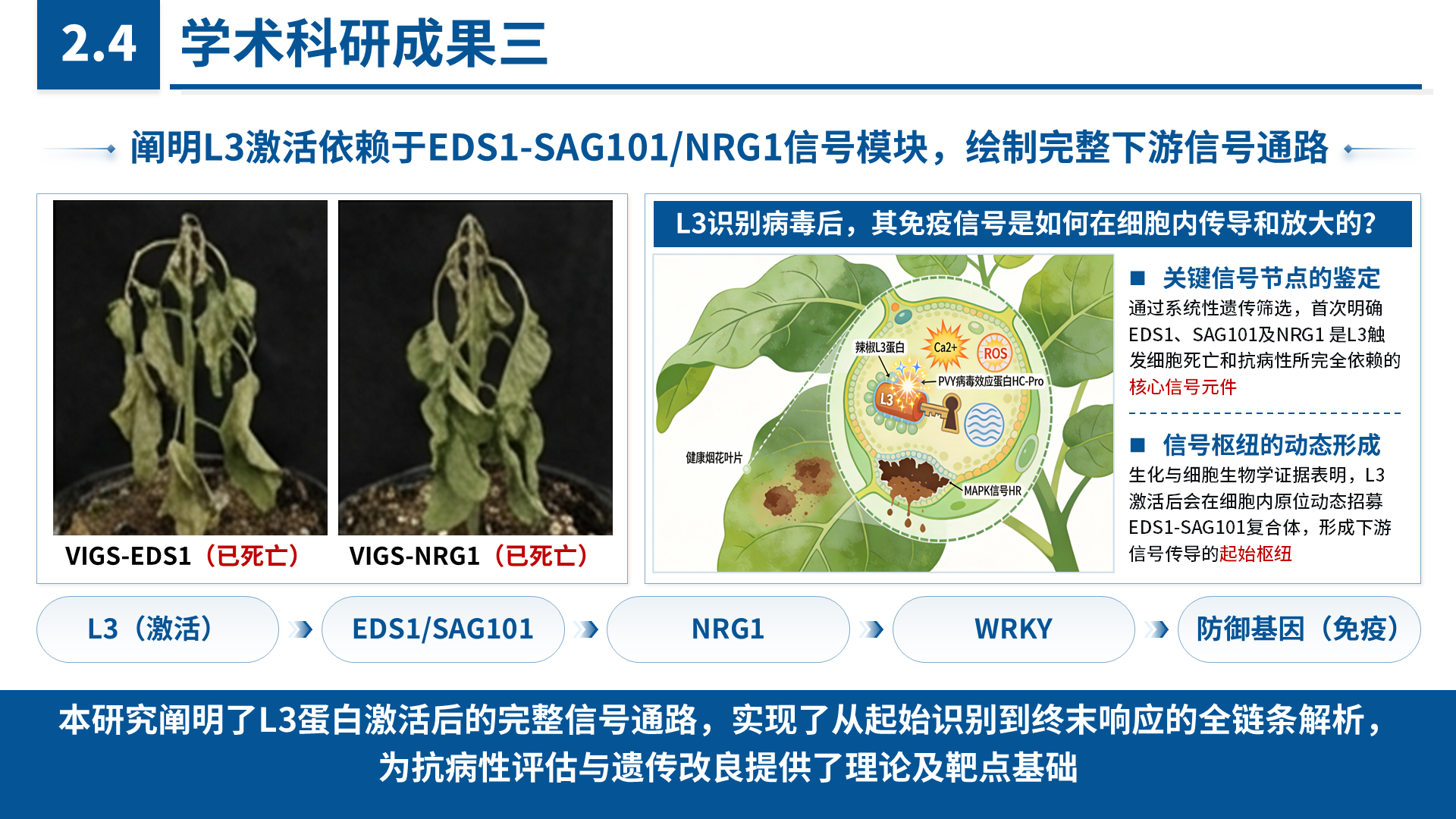 国家青年科学基金 B 类 案例