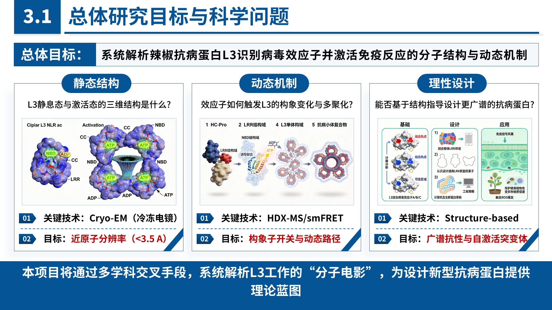 国家青年科学基金 B 类 案例