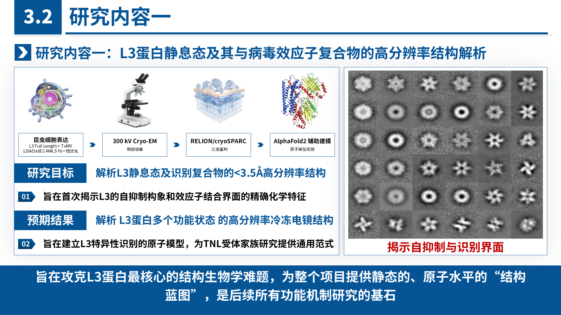 国家青年科学基金 B 类 案例