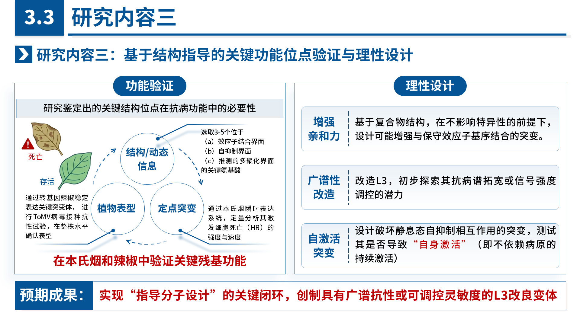 国家青年科学基金 B 类 案例