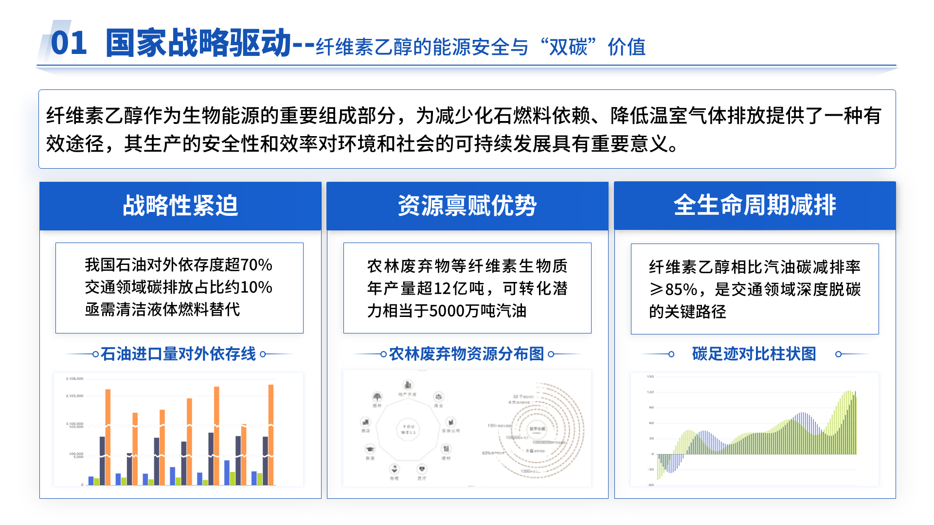 国家重点研发 · 合成纤维素 案例