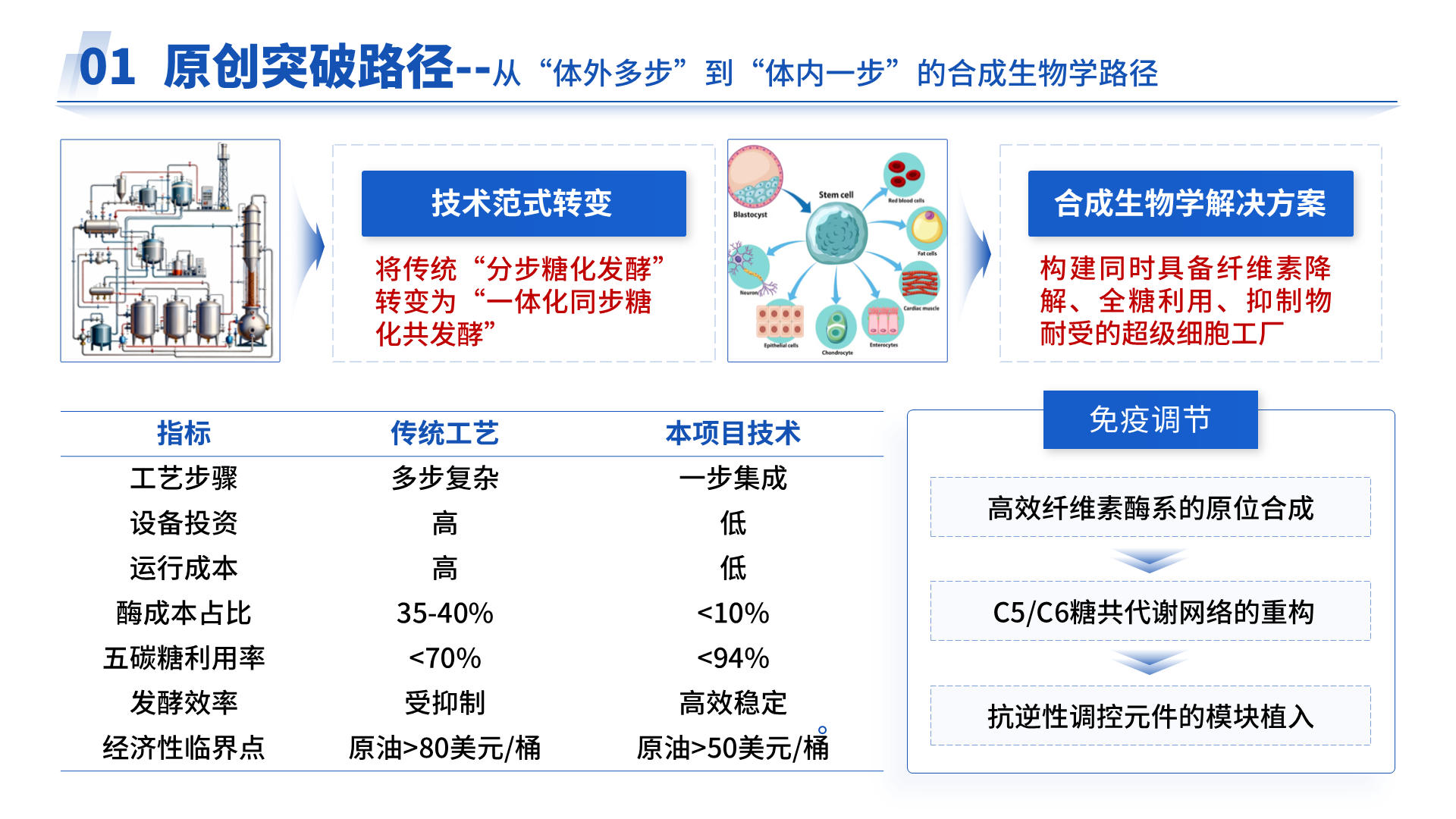 国家重点研发 · 合成纤维素 案例