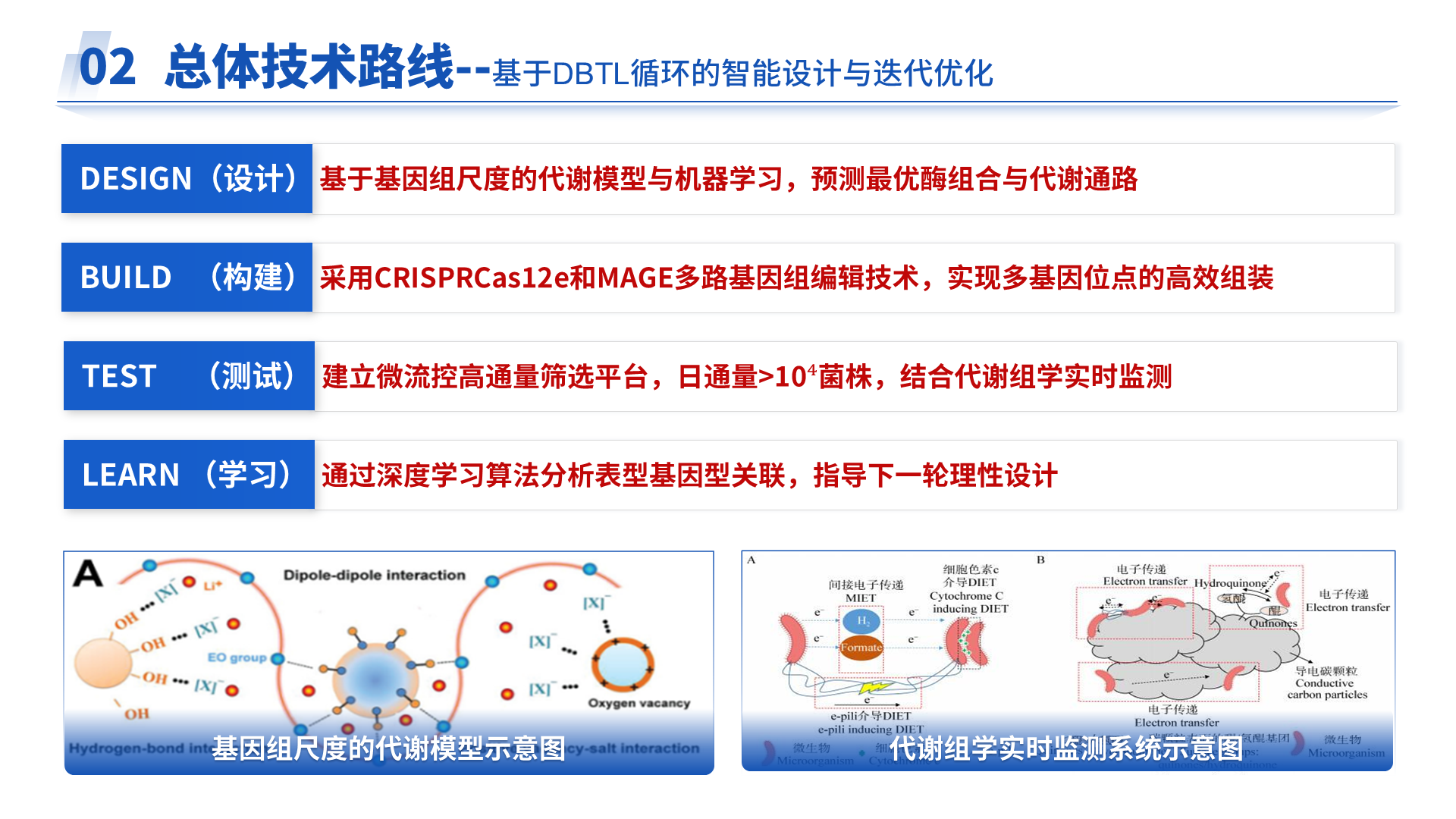 国家重点研发 · 合成纤维素 案例